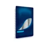 250 g Atlantic Herring Fillet Lightly Salted in Oil