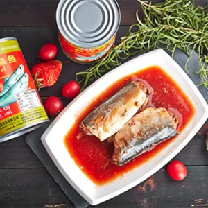 425g Premium Canned Food Tomato Sauce Canned Mackerel