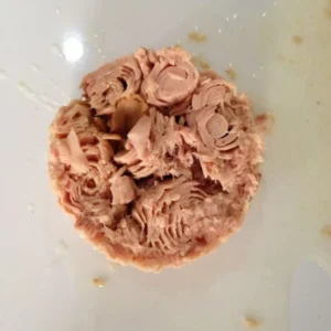 Canned Tuna in Sunflower Oil 170g X 48 Tins