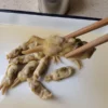 Chinese Dumpling Ingredient Seafood Razor Blade Clam in Canned
