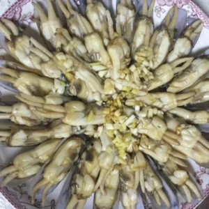 IQF Long Fresh Water Razor Clams in Can Without Any Additive