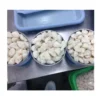 Seafood Canned Jumbo Lump Crab Meat